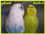 Аватара пользователя