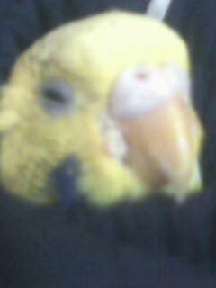 IMG0018A.jpg