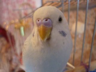 P1020746.JPG