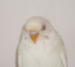 SAM_0849.JPG