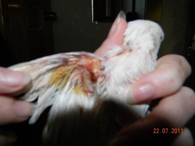 DSCN2678.JPG
