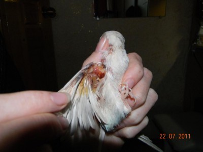 DSCN2680.JPG