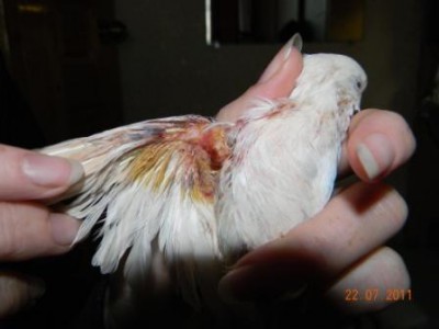 DSCN2679.JPG