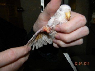 DSCN2681.JPG