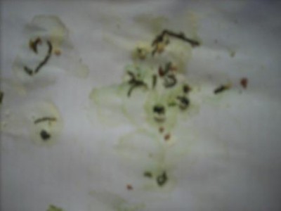 DSCN4440.JPG