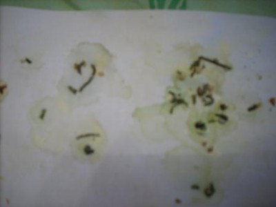 DSCN4442.JPG