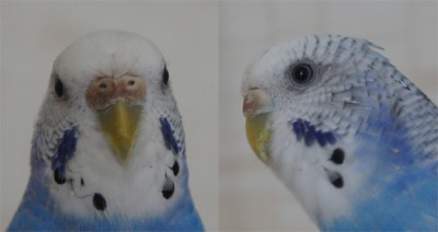 фотка.jpg