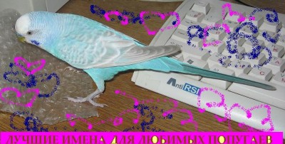 нумер - 012_фф.JPG