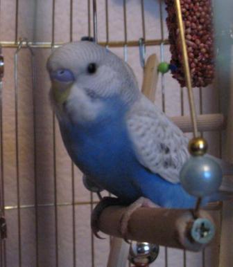 IMG_1992.JPG