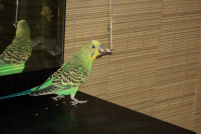 DSC04227.JPG