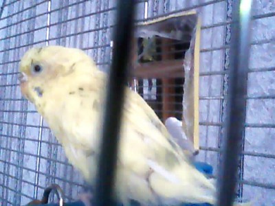 Picture 2.jpg