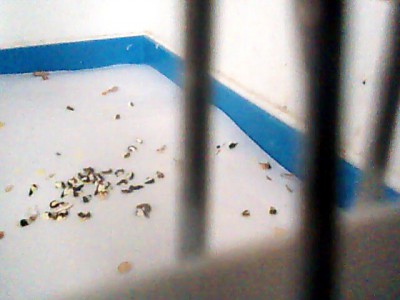 Picture 3.jpg