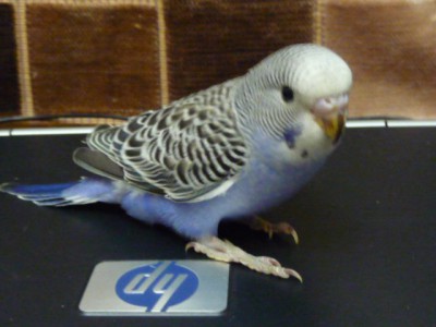 24d0255ae4fe.jpg
