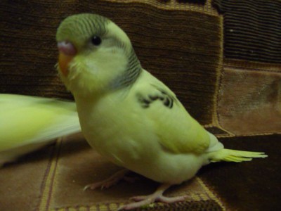 82cb388e5d8a.jpg