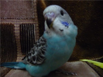 c944719f84fa.jpg