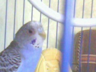IMG0629A.jpg