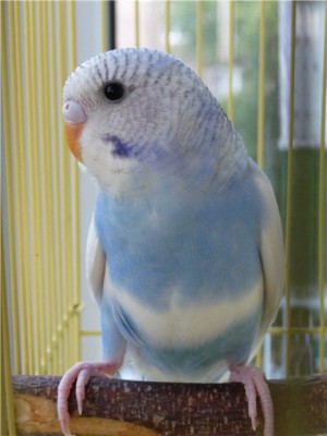 a3c09dd61754.jpg
