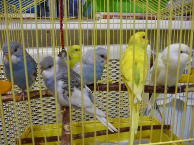 6c89bb256356.jpg
