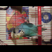 20120825_172212.png