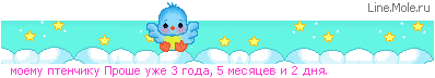 preview.gif