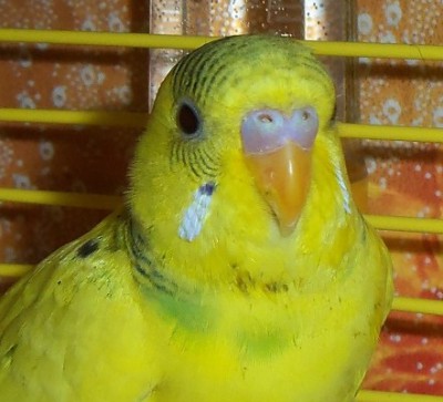 100_85041.jpg