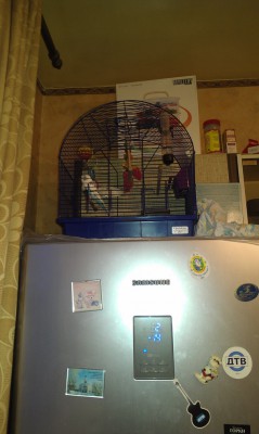 IMAG0261.jpg