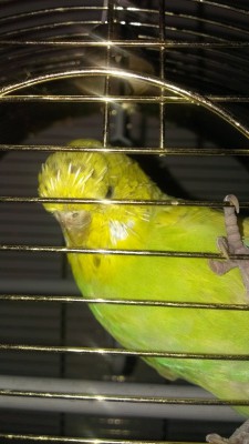 IMAG027811.jpg