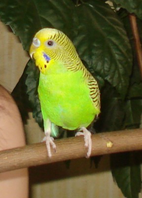 DSC07298.jpg
