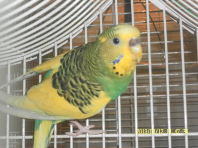 SAM_5220.JPG