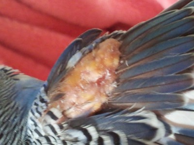 20130328_091927.jpg