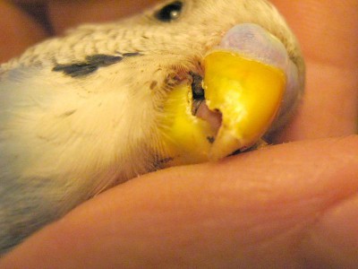 IMG_8272_.jpg