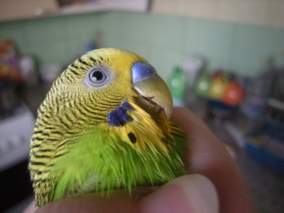 DSCN3801_thumb.jpg