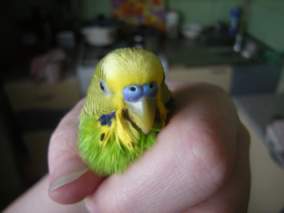 DSCN3802_thumb.jpg