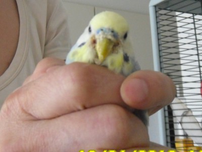 SAM_0019.JPG