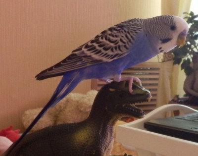 2013-04-25 06-48-46.jpg