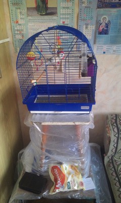 IMAG0343.jpg