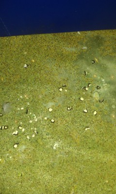 IMAG0348.jpg