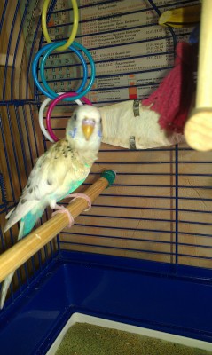 IMAG0355.jpg