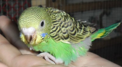 IMG_2351.JPG