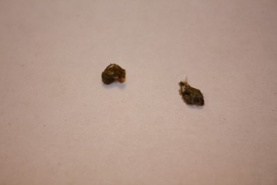 IMG_8174_.JPG