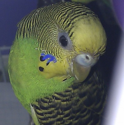 IMAG054611.jpg