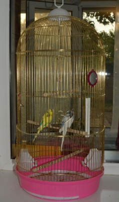 _DSC0518.JPG