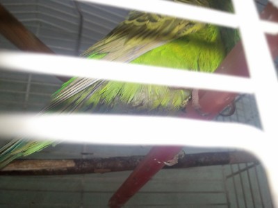 20130717_121209.jpg