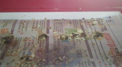 20130717_121327_cr.jpg