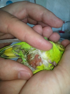 20130717_151549.jpg