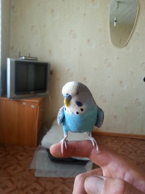 20130717_182411.jpg