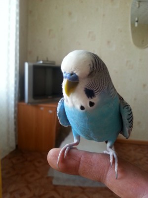 20130717_182442.jpg