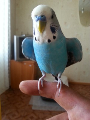 20130717_182449.jpg
