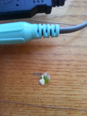 20130717_182502.jpg