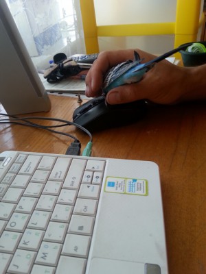 20130717_183201.jpg